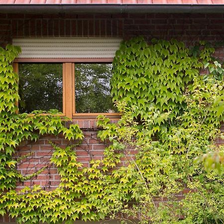 Ferienwohnung Meinersen Exteriör bild