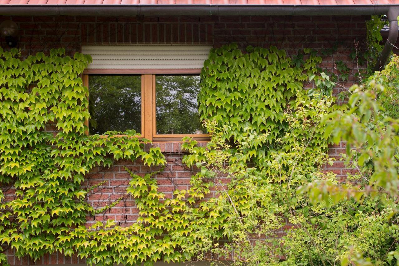 Ferienwohnung Meinersen Exteriör bild